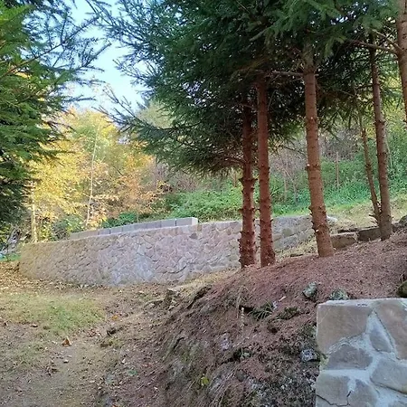 Дом отдыха Casa Iulia *