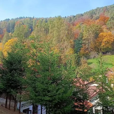 Дом отдыха Casa Iulia Брашов